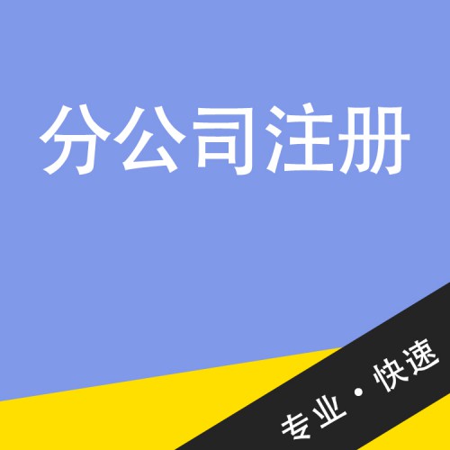 分公司注冊(cè) 分公司注冊(cè)代辦