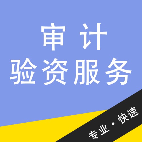 審計(jì)驗(yàn)資服務(wù) 代理審計(jì)驗(yàn)資公司