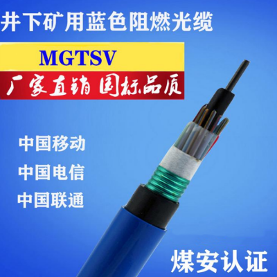 礦用測溫光纜MGTSV-2A  煤礦用阻燃測溫光纜