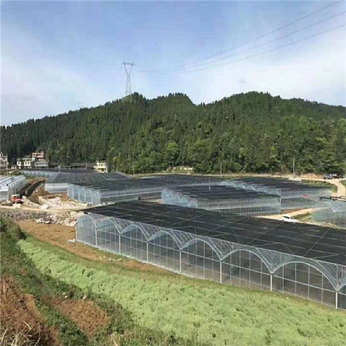 新型連棟溫室大棚建造商 連棟溫室大棚廠家推薦 國(guó)聚溫室