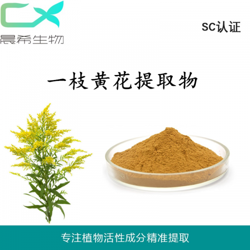 一枝黃花提取物10:1 一枝黃花黃酮 一枝黃花粉起訂量1KG