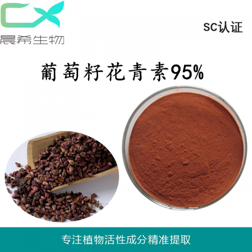 廠家葡萄籽提取物 原花青素95% 葡萄籽粉起訂量1KG