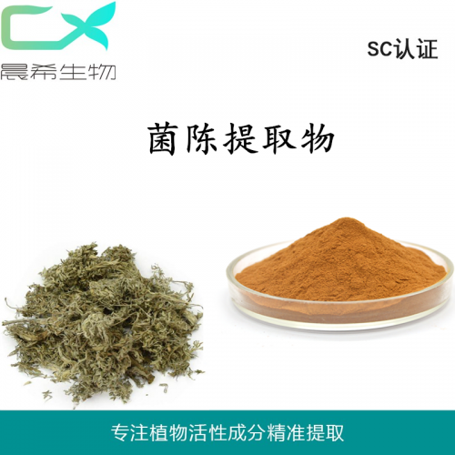 菌陳提取物10：1菌陳超微粉水溶或醇溶1kg起訂現(xiàn)貨包郵