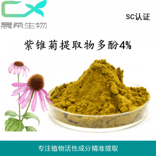 紫錐菊提取物多酚4%紫錐菊粉現貨供應起訂量1KG 現貨包郵