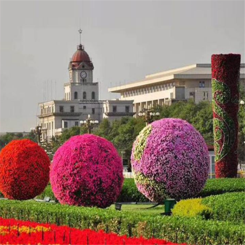 廣場擺放花球 景觀圓形花球 公園綠地花球