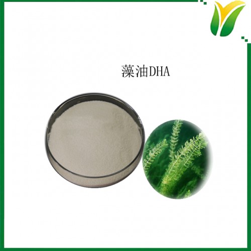 植物提取物 藻油DHA10% 二十二碳六烯酸藻油粉