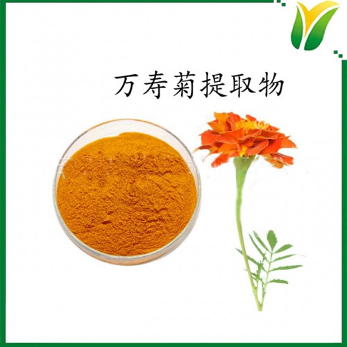 葉黃素酯5% Lutein ester 萬(wàn)壽菊植物提取物