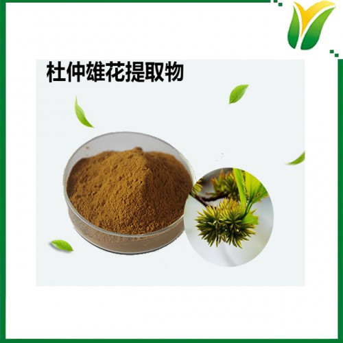 杜仲雄花提取物5：1 杜仲雄花水提取粉 植物提取物