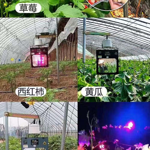 補光燈植物激光紅皎陽激光大棚植物補光燈方案C101M202