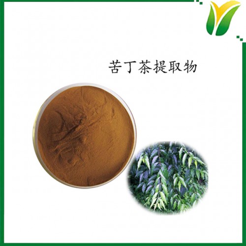 苦丁茶提取物5:1 茶丁萃取粉 植物提取物