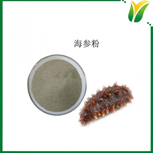 海參粉 Sea Cucumber Powder 海參生粉