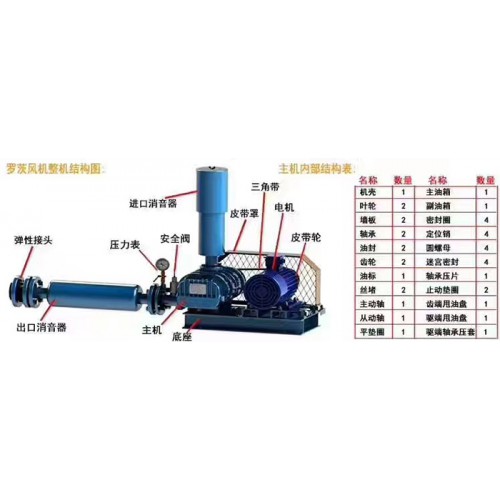 不銹鋼羅茨風機