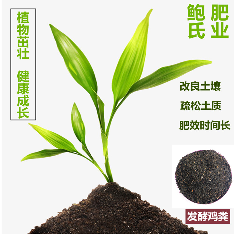 發(fā)酵雞糞植物生長(zhǎng)