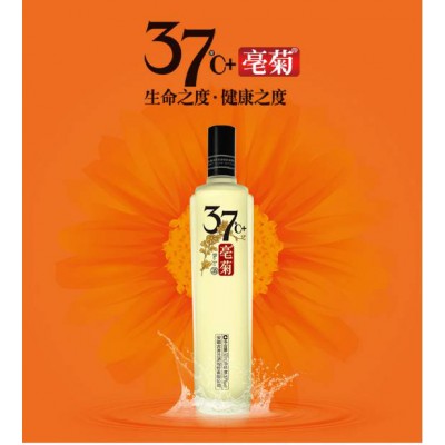 菊花養(yǎng)生酒定制