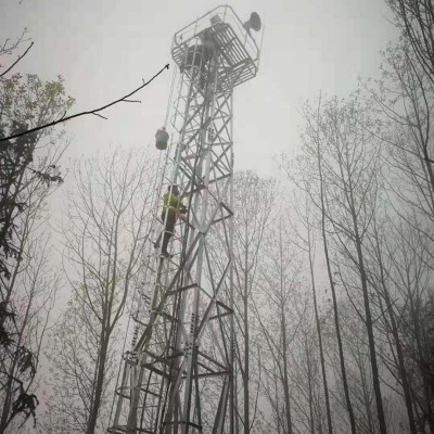 羅田環境檢測塔 廠家批發森林防火監控塔