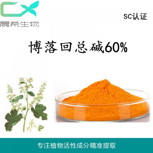 晨希博落回提取物 血根堿40% 博落回總堿60%現(xiàn)貨