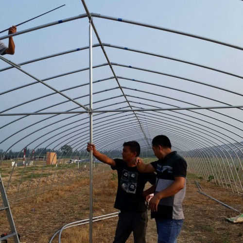 食用菌大棚 建溫室大棚需要 新建大棚 鋼架種植大棚每畝地