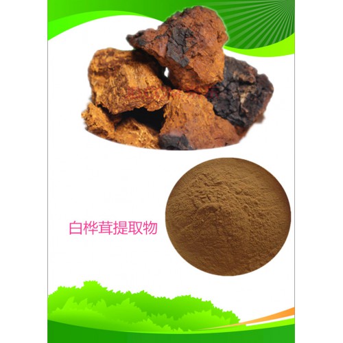 白樺茸提取物  水提 10：1   白樺茸浸膏  白樺茸粉