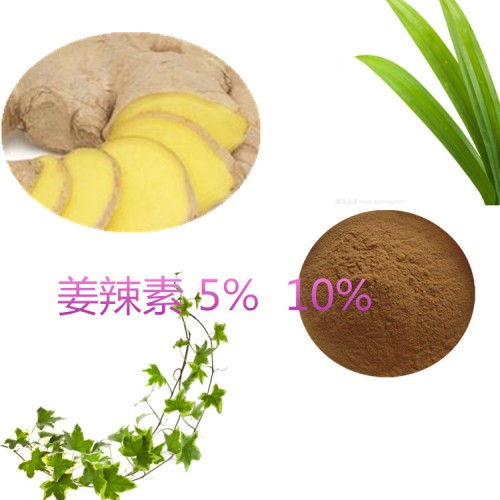 姜辣素  5%  10%  生姜提取物姜辣素