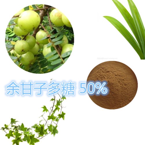 余甘子多糖 30% 50%  余甘子浸膏