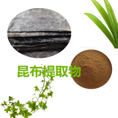 昆布提取物 水提 10:1  昆布速溶粉 98%