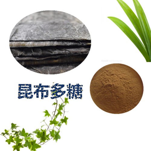 昆布多糖 30%  昆布提取液 10:1  昆布浸膏粉