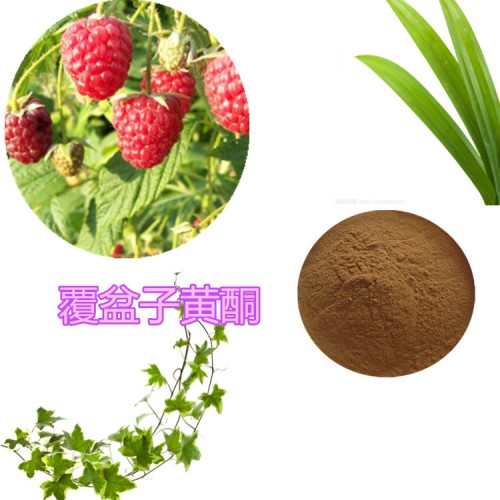 樹莓/覆盆子黃酮 20%  樹莓浸膏  樹莓提取液