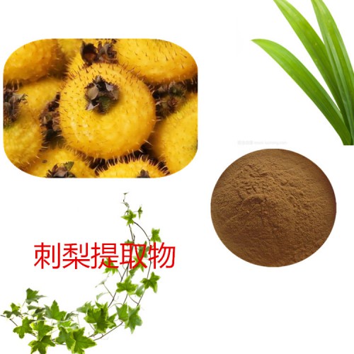 刺梨提取物 水提 10:1 刺梨粉 刺梨浸膏