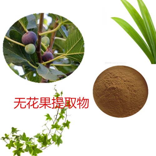 無花果提取物 水提  10:1   無花果粉 無花果浸膏