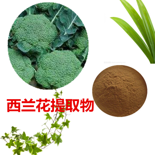 西蘭花提取物 水提 10:1 西蘭花粉  西蘭花浸膏