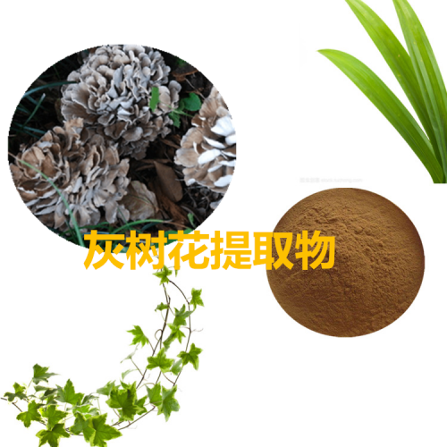 灰樹(shù)花提取物 水提 10:1 灰樹(shù)花粉  灰樹(shù)花浸膏