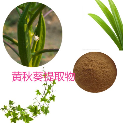 黃秋葵提取物10:1 黃秋葵粉 水溶 花秋葵浸膏