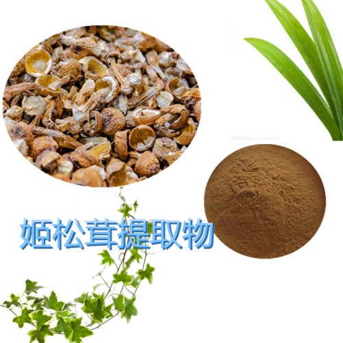 姬松茸提取物10:1 姬松茸粉 水溶 姬松茸浸膏