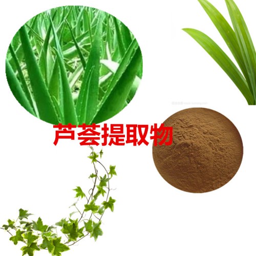 蘆薈提取物 水提 10:1  蘆薈浸膏 庫拉索蘆薈速溶粉