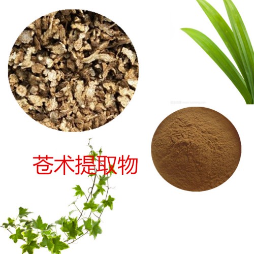 蒼術提取物 水提 10:1  蒼術浸膏 蒼術速溶粉