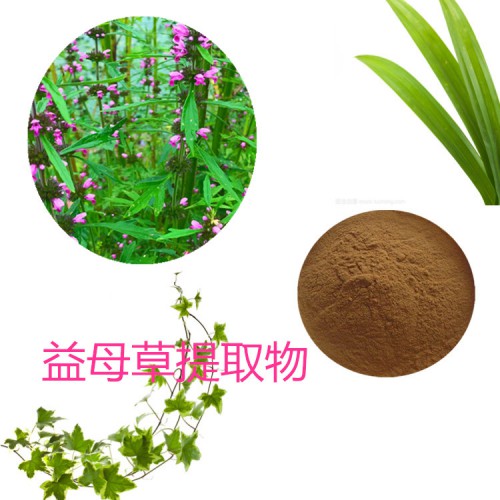 益母草提取物 水提 10:1  益母草浸膏 益母草速溶粉