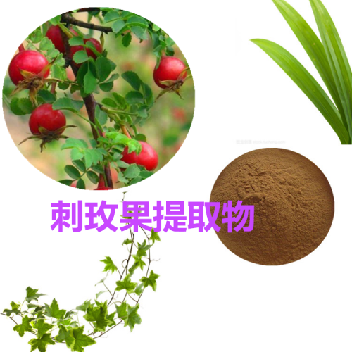 刺玫果提取物 水提 10:1  刺玫果浸膏 刺玫果速溶粉