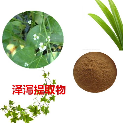 澤瀉提取物 水提 10:1  澤瀉浸膏 澤瀉速溶粉