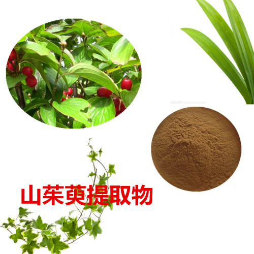 山茱萸提取物 水提 10:1  山茱萸浸膏 山茱萸速溶粉