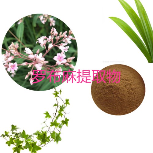 羅布麻提取物 水提 10:1  羅布麻浸膏 羅布麻速溶粉