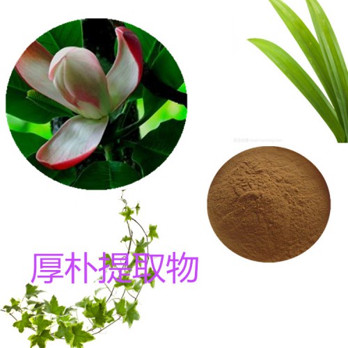 厚樸提取物 水提 10:1  厚樸浸膏 厚樸速溶粉