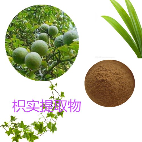 10:1 枳實提取物  水提 枳實粉 枳子浸膏