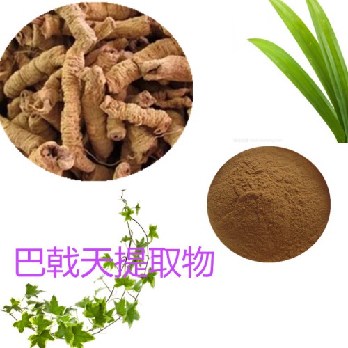 10:1  巴戟天提取物  水提 巴戟天粉 巴戟天浸膏