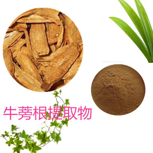 10:1  牛蒡根提取物  水提 牛蒡根粉 牛蒡根浸膏