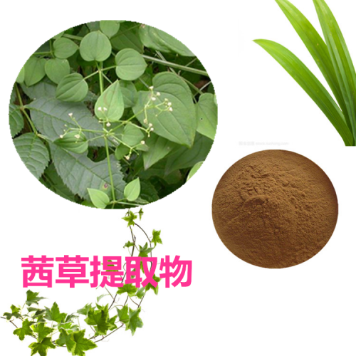 10:1  茜草提取物  水提 茜草粉 茜草浸膏