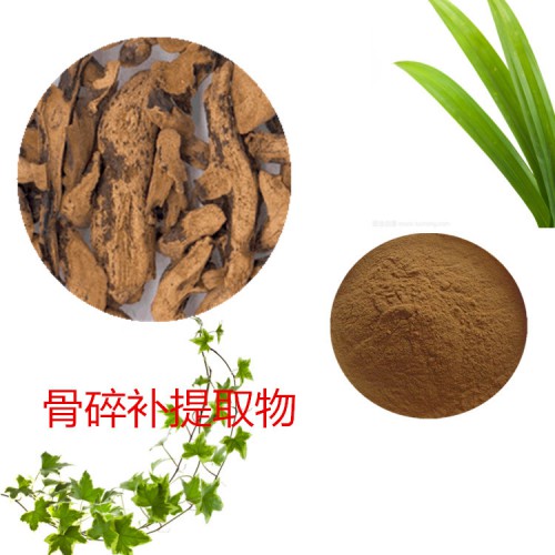 10:1  骨碎補提取物  水提 骨碎補粉 骨碎補浸膏