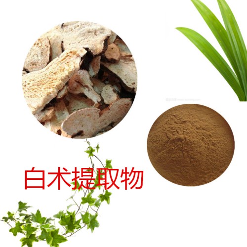 10:1  白術提取物  水提  白術粉 白術浸膏