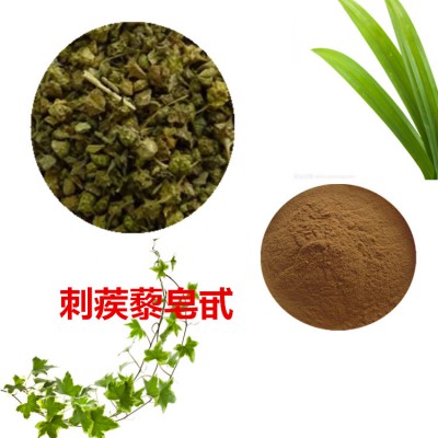 刺蒺藜皂甙 40%  80%  刺蒺藜提取液 10:1