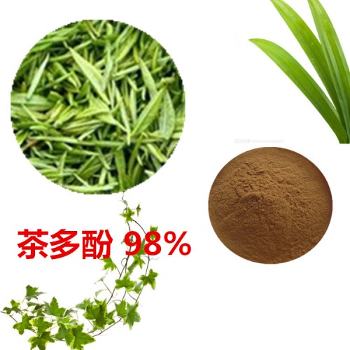 茶多酚 98%  綠茶提取液 10:1  多規格