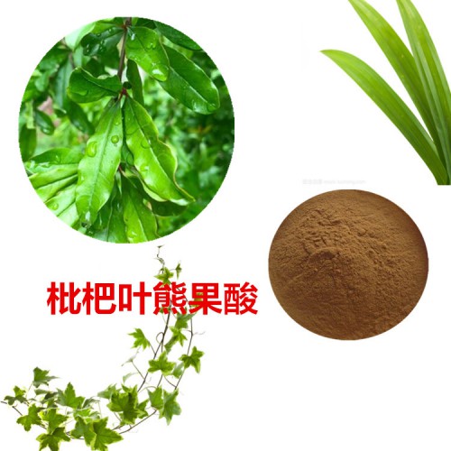 10:1 枇杷葉提取物  水提  枇杷葉粉 枇杷葉浸膏